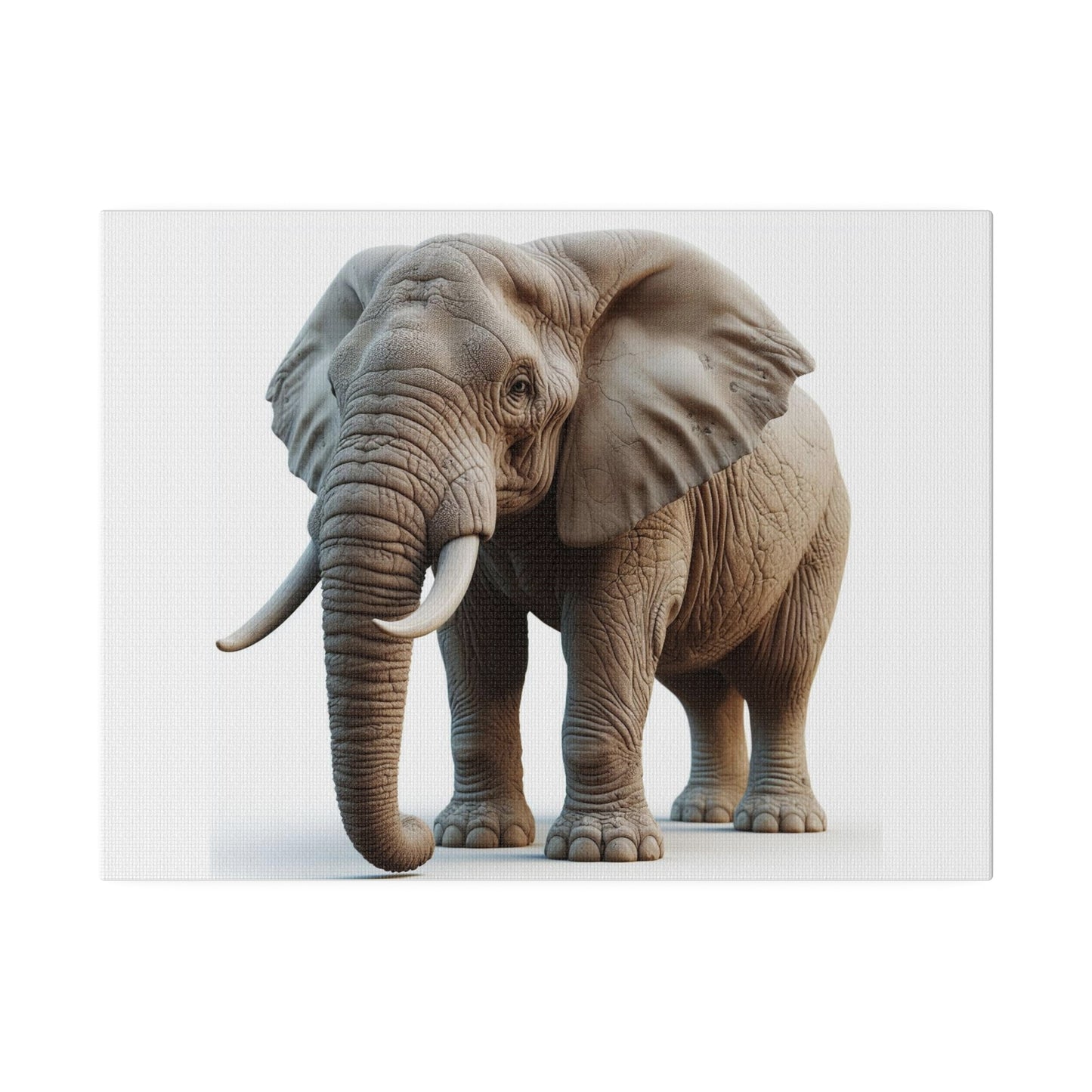 Matte Canvas, Stretched, 0.75"