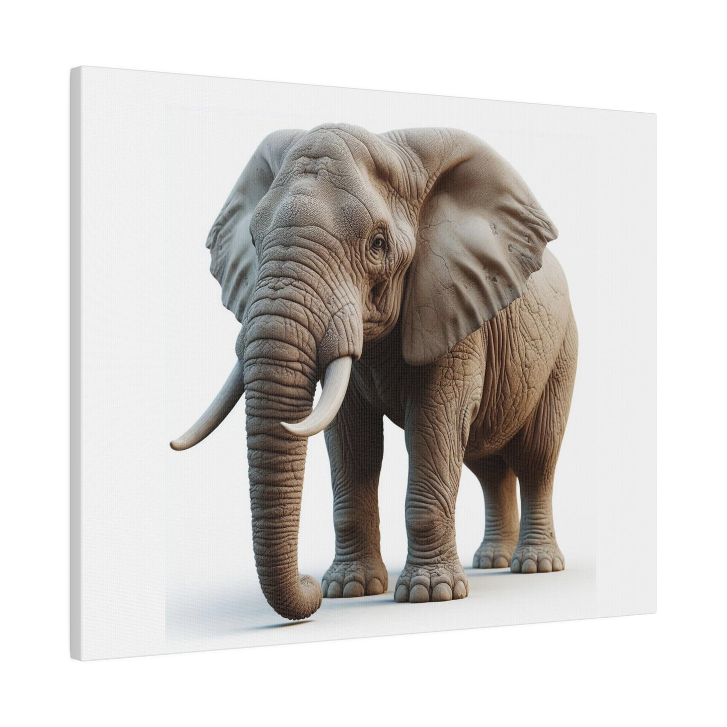 Matte Canvas, Stretched, 0.75"
