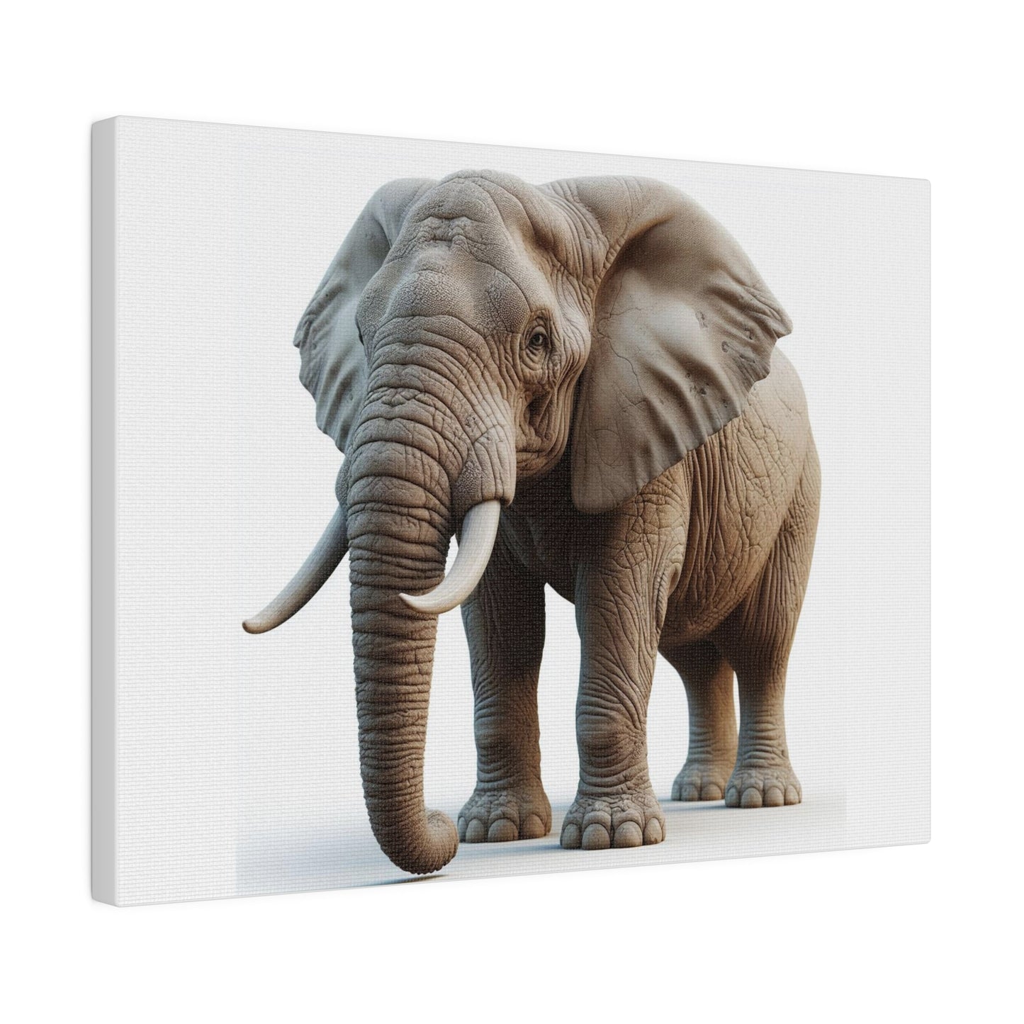 Matte Canvas, Stretched, 0.75"