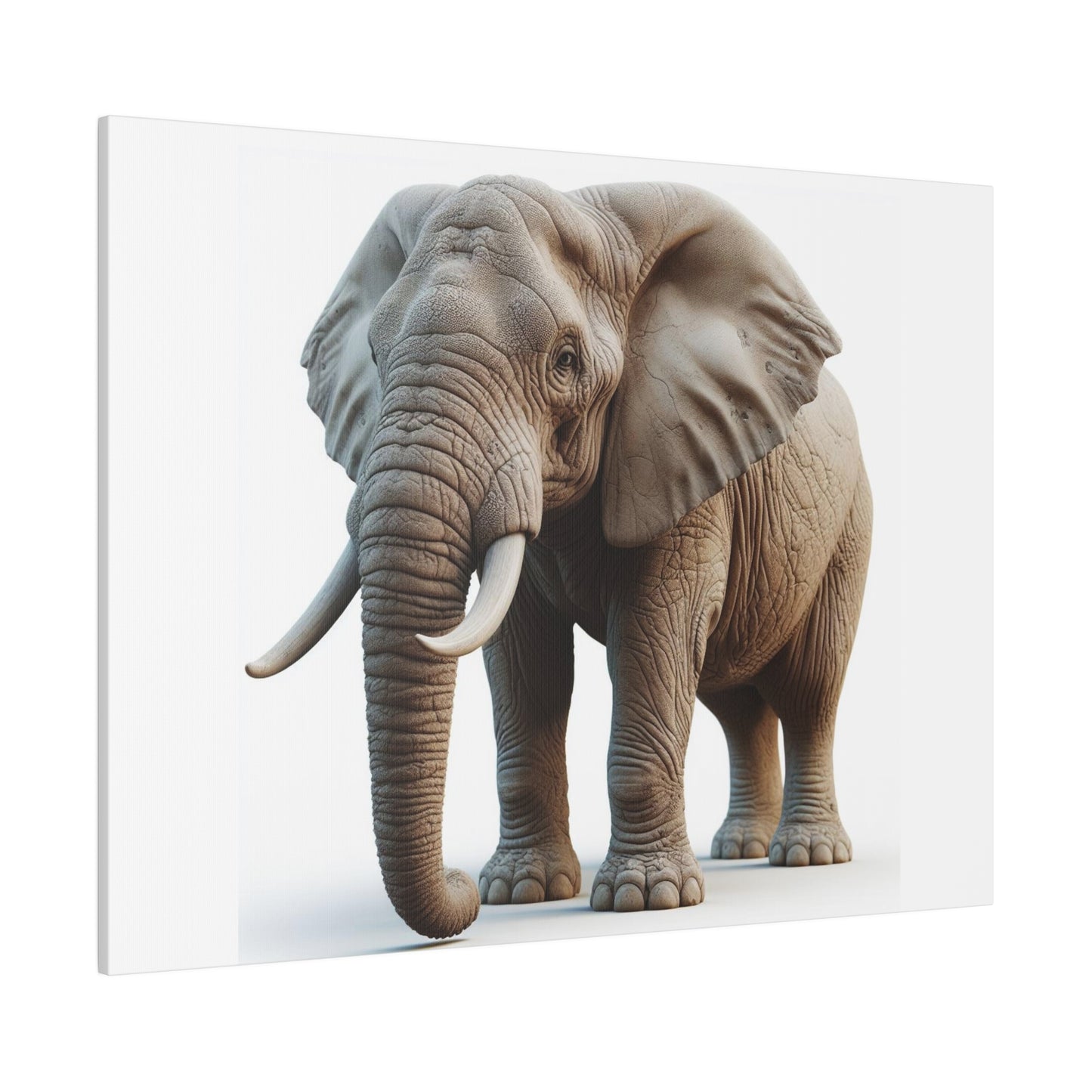 Matte Canvas, Stretched, 0.75"